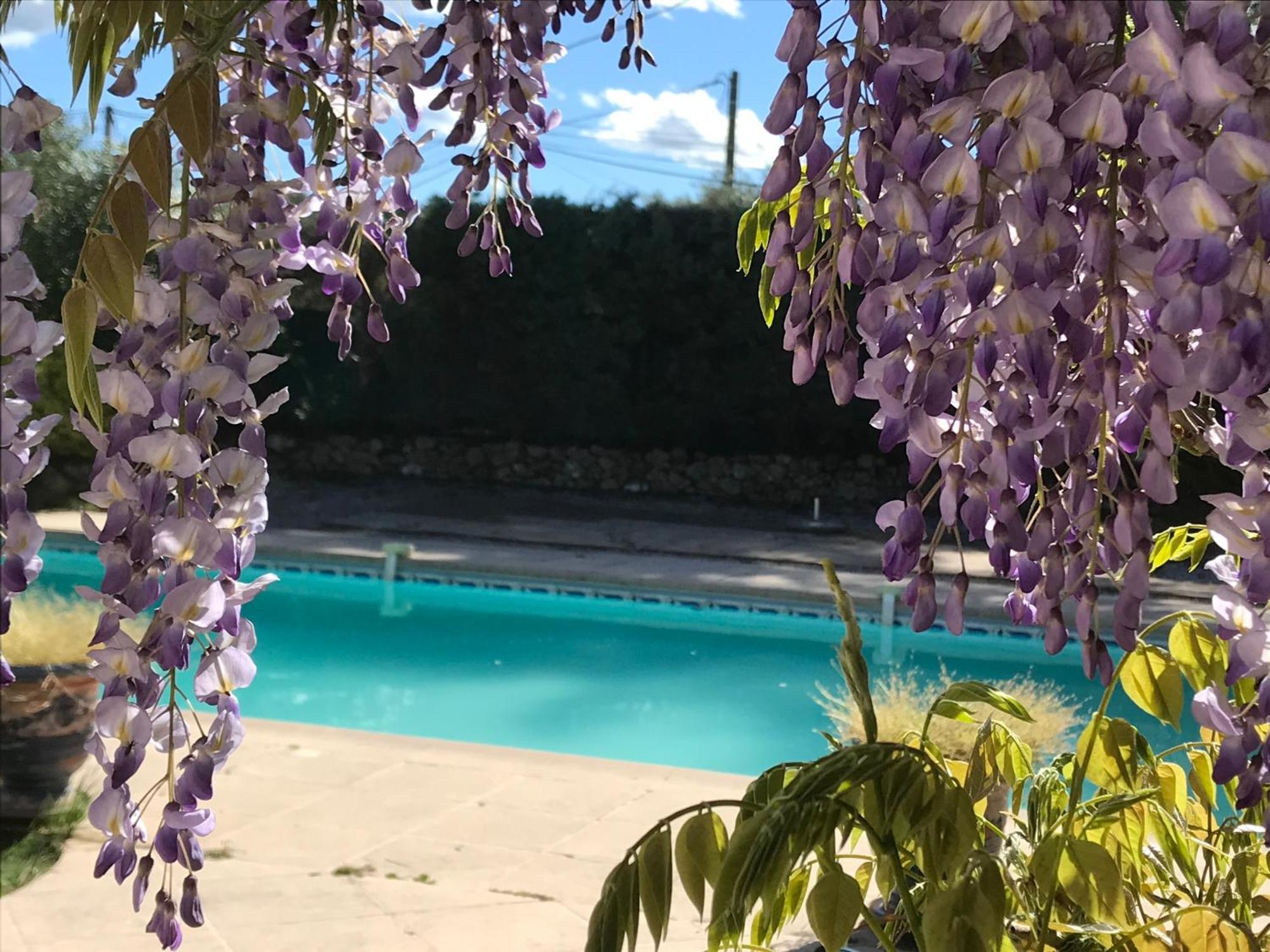 Le Patio Fleuri Hotel Lorgues Exterior foto