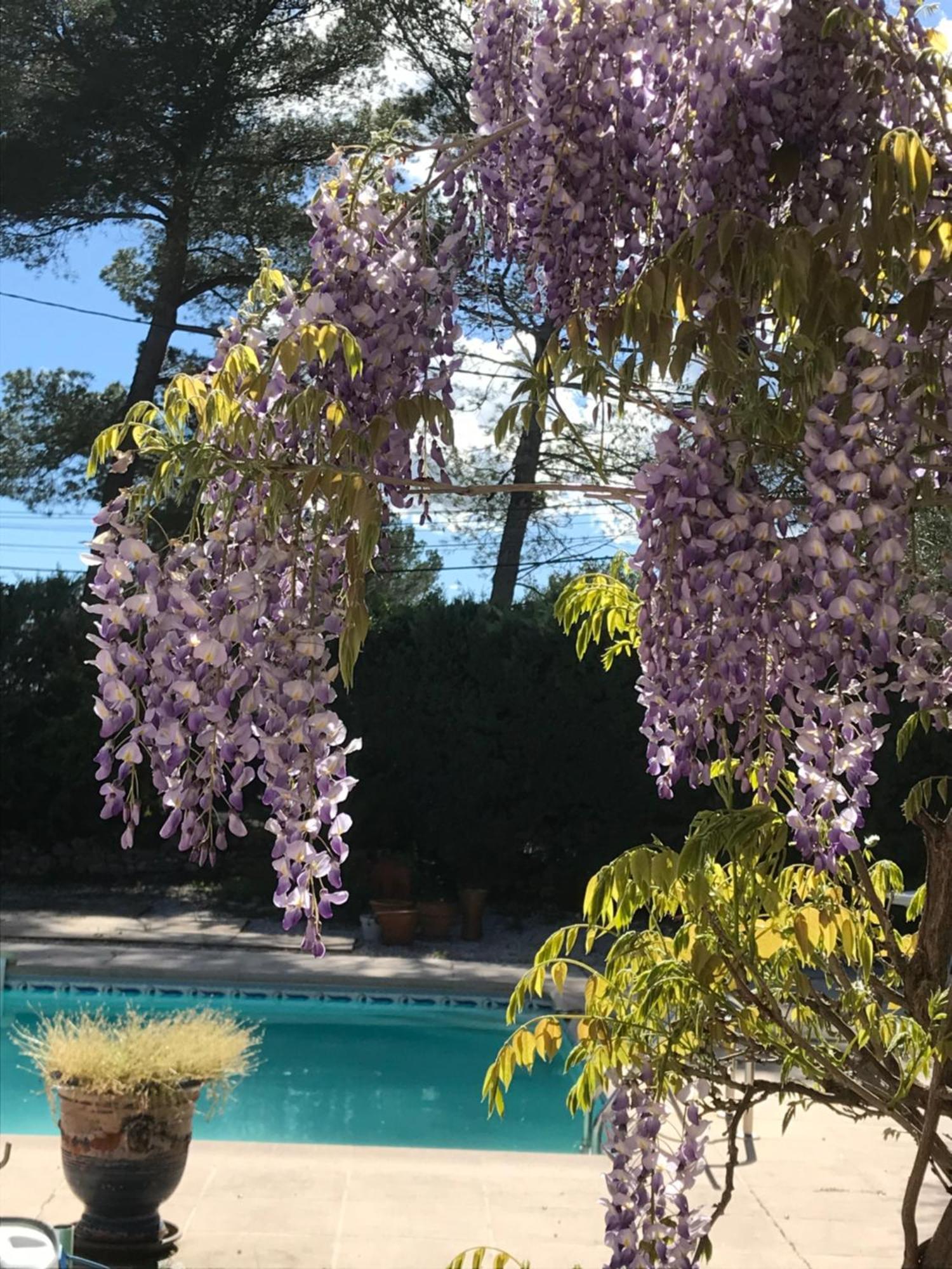 Le Patio Fleuri Hotel Lorgues Exterior foto